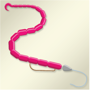 Texas_Rig - Missouri Fishing Guide